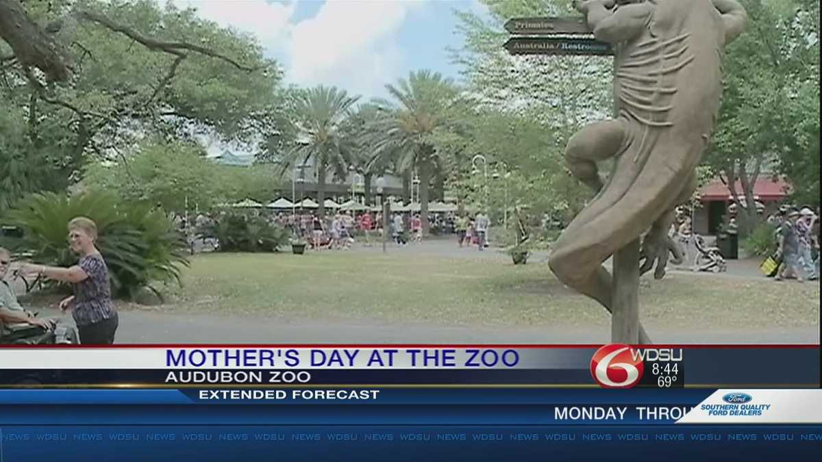 Audubon Zoo Mother’s Day Concert celebrates moms