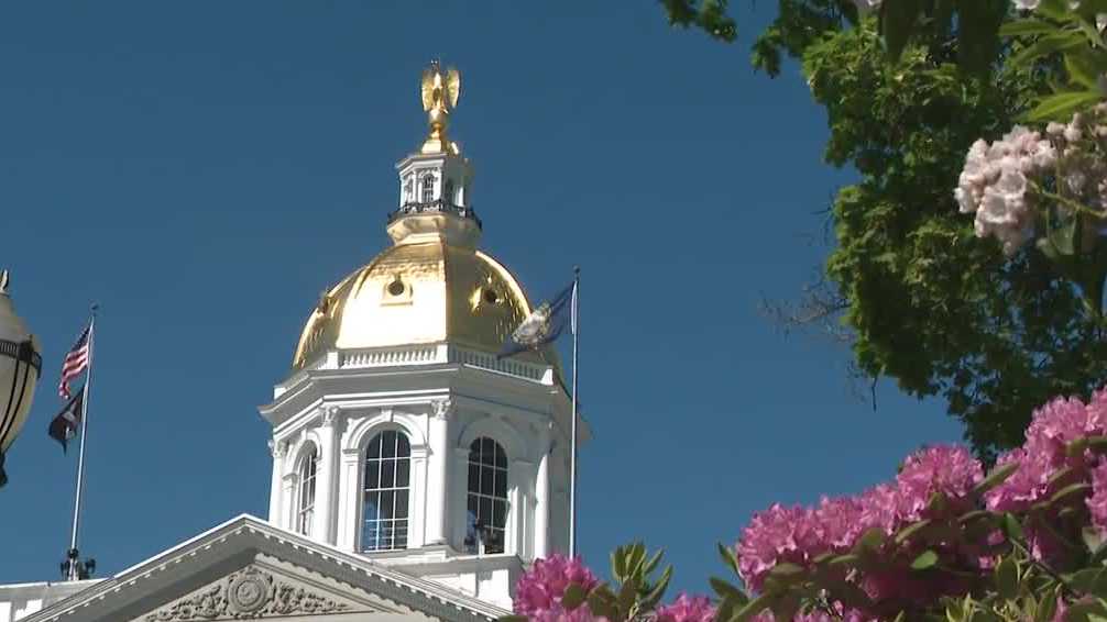 NH lawmakers negotiate over language in child protection bill - Vimarsana News