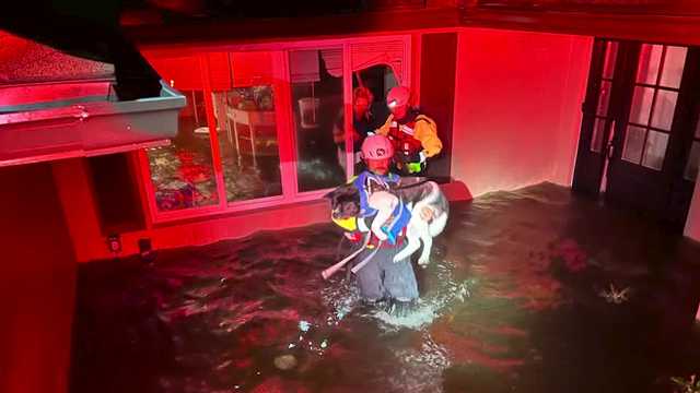 Man, woman and dog rescued by fire crews during Hurricane Milton