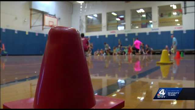 Upstate school districts working to promote wellness - Vimarsana News