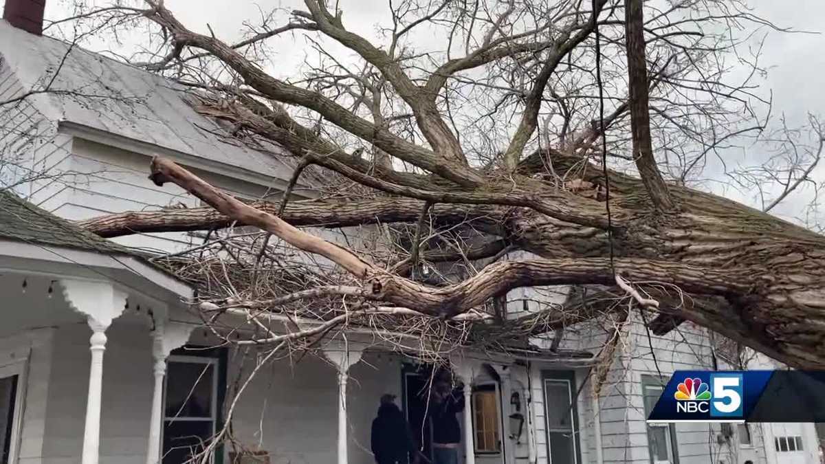 Massive Tree Topples Over Onto Home In St Albans During Storm