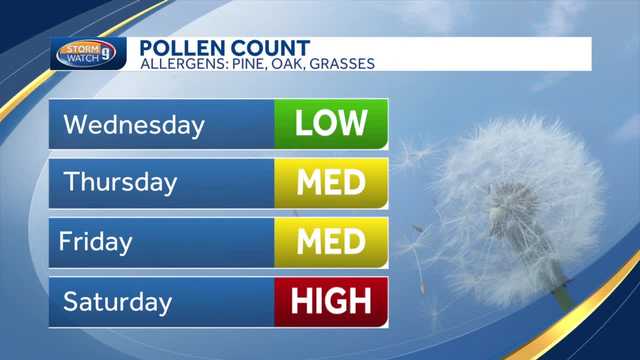 Cool winds spread tree pollen in NH, but some relief ahead - Vimarsana News