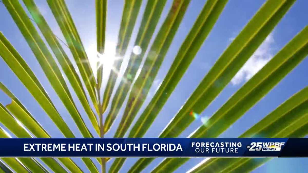 Extreme Weather: Heatwaves set new records around the globe