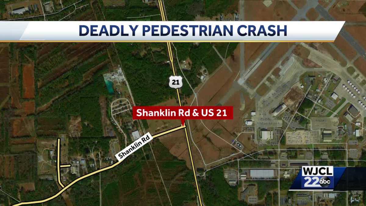 Pedestrian hit and killed on U.S. 21 in Beaufort County