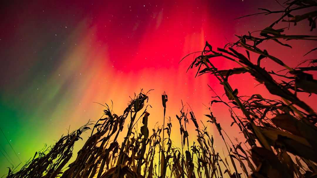Northern lights may be visible in parts of the US, including Iowa, due to solar storms
