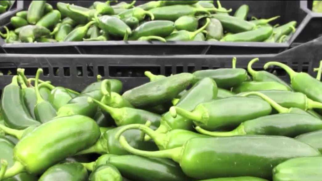 Taylor Farms pulls jalapeño products sold at Walmart