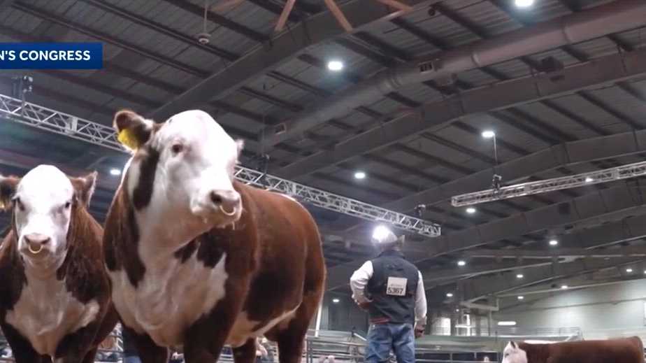 Cattlemen's Congress brings breeders from across US to Oklahoma City