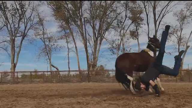 Native American stuntman making New Mexico his home - Vimarsana News