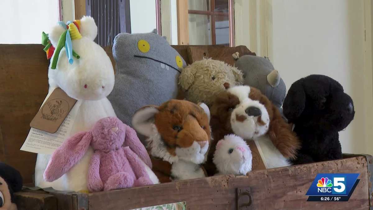 Local sustainable toy company is collecting and repairing used stuffed animals to reduce waste