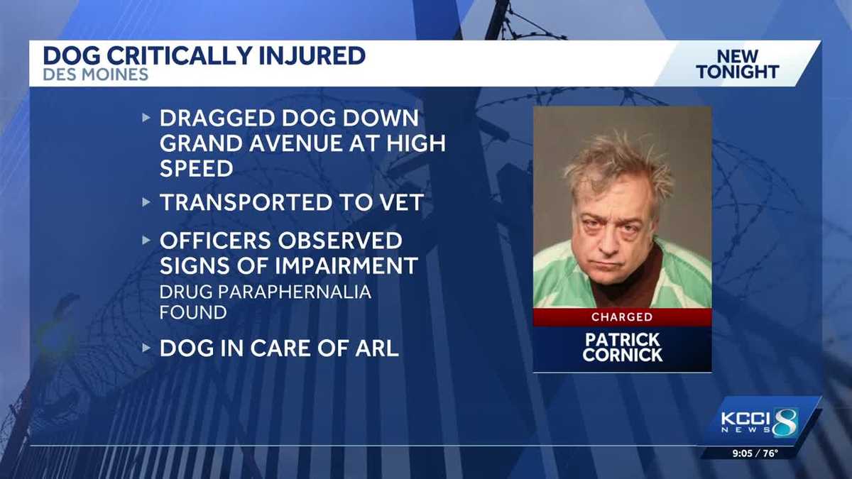 Des Moines man charged after police say he critically injured his dog