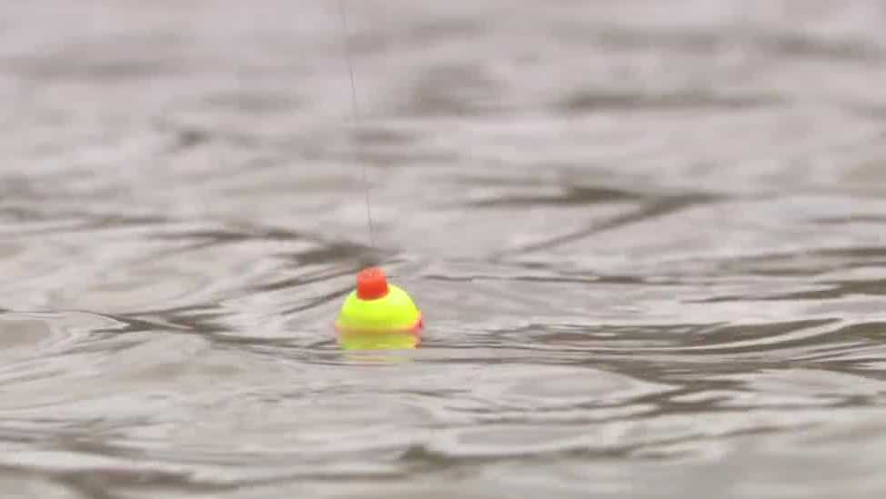 Southeast Wisconsin children enjoy a day of fishing after flooding