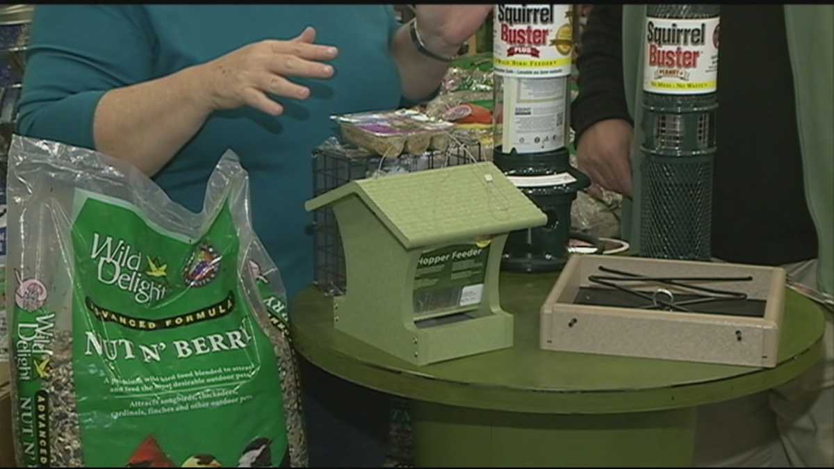 Grow it Green How to attract birds and not squirrels