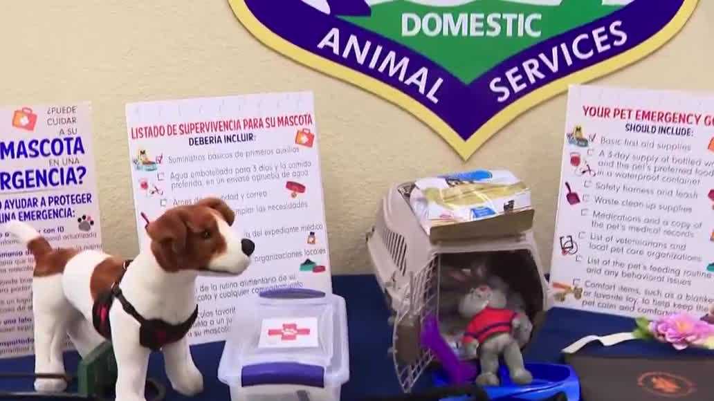 Lee County waives pet adoption fees Saturday for Clear the Shelters