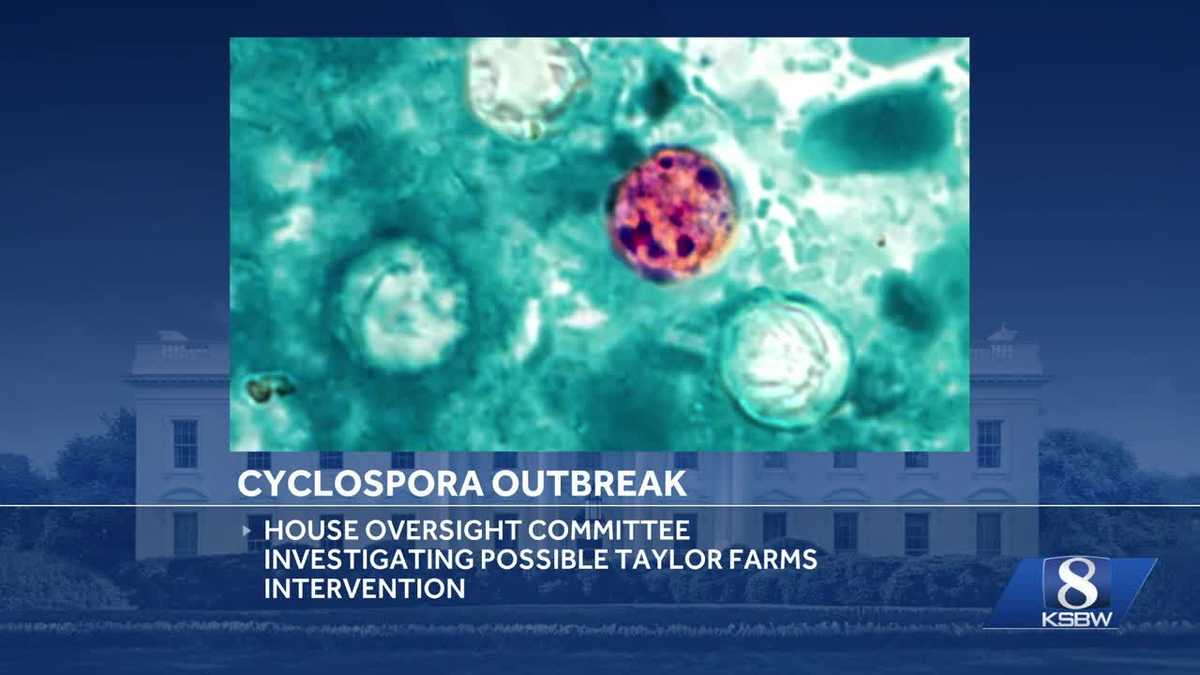 Garcia presses Taylor Farms over FDA cyclospora probe