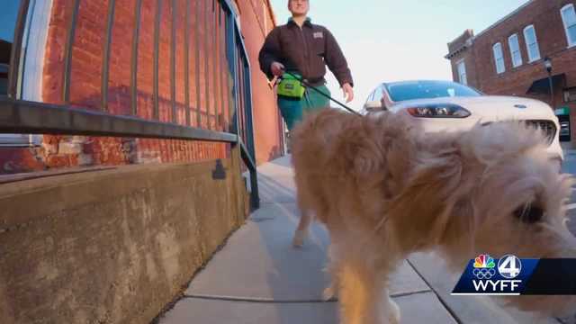 Animal advocates worry about new Upstate ordinance - Vimarsana News