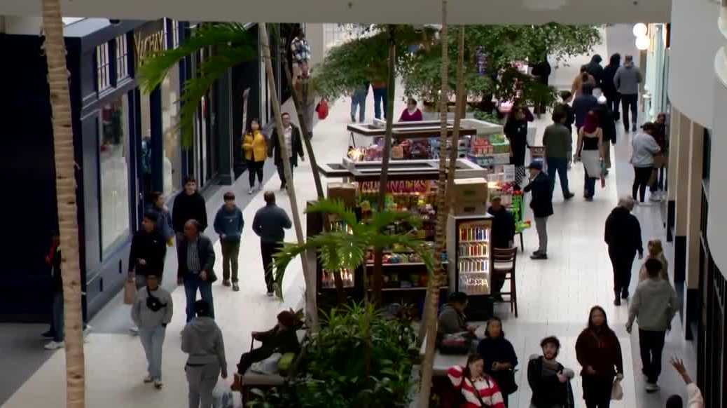 Holiday shopping draws record crowds amid economic volatility
