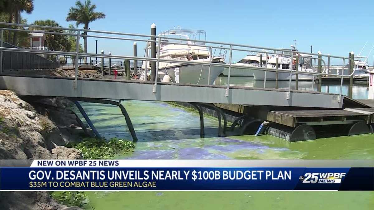 DeSantis' budget allocates 35 million to combat toxic bluegreen algae