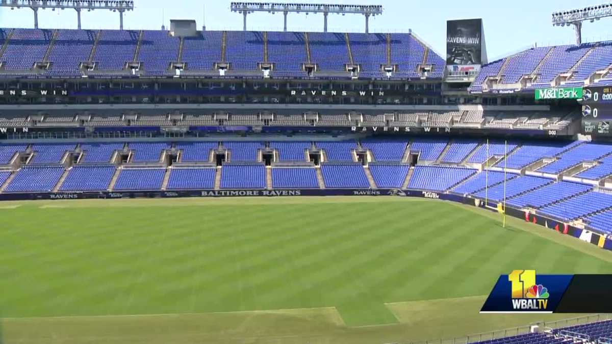 baltimore ravens m&t bank stadium