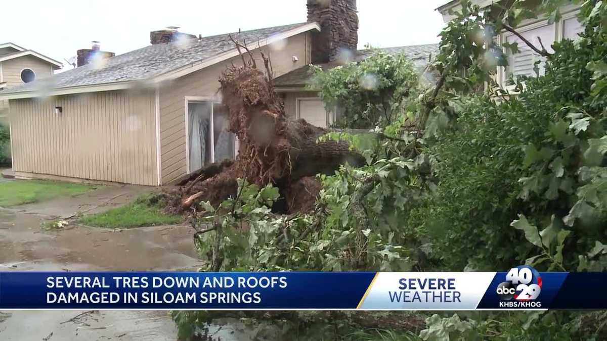 Storms cause damage in Siloam Springs