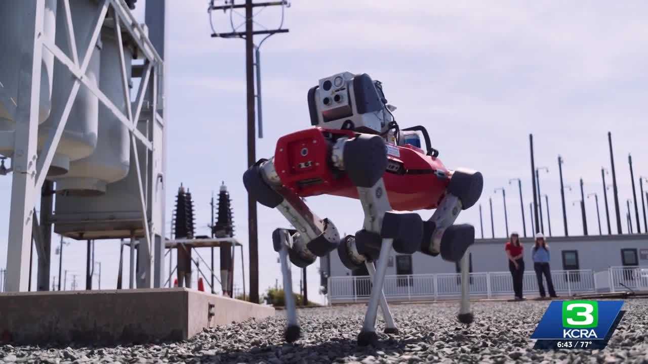 kcra.com - Jason Marks - SMUD's new robot dog is out of this world