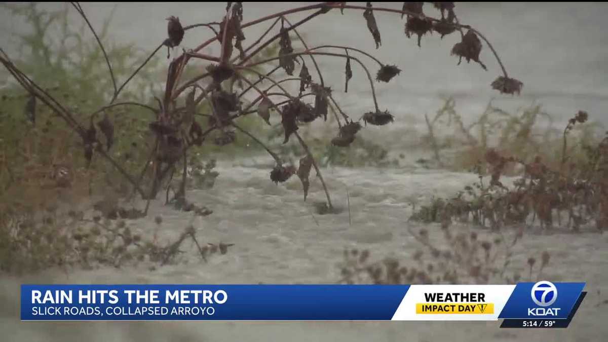 Heavy rains cause erosion and flooding across New Mexico