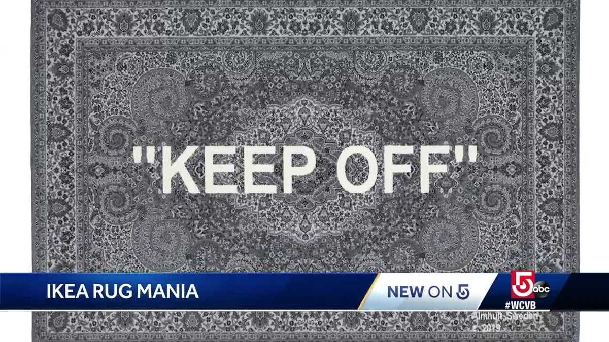 People wait overnight at IKEA for a rug; 'This is a huge deal