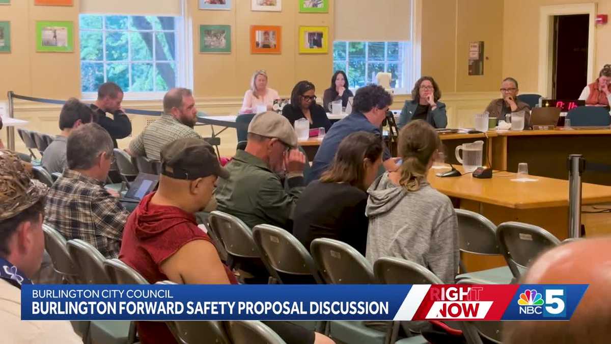City councilors discuss controversial public safety plans