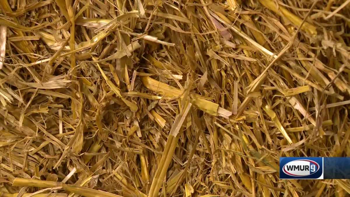 Grow it Green Hay, straw, chopped straw