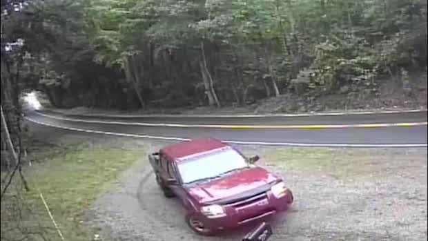 Man caught on camera dumping dog on rural road identified, arrested ...