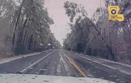 Wild video: LSP dash cam captures moment tree falls from weight of ice in North Louisiana 