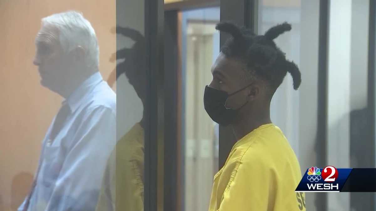 Docs: Gun toddler used to shoot Florida mom on Zoom call was in 'Paw ...