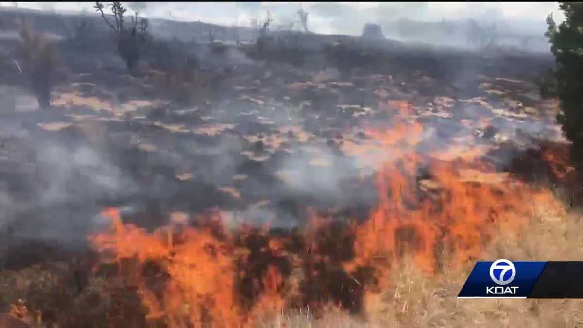 Brush fire threatens ten homes in ABQ Foothills