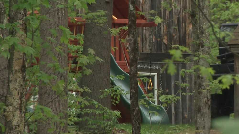 Fox that attacked New Hampshire child tests positive for rabies WMUR Manchester Fox that attacked New Hampshire child tests positive for rabies WMUR Manchester