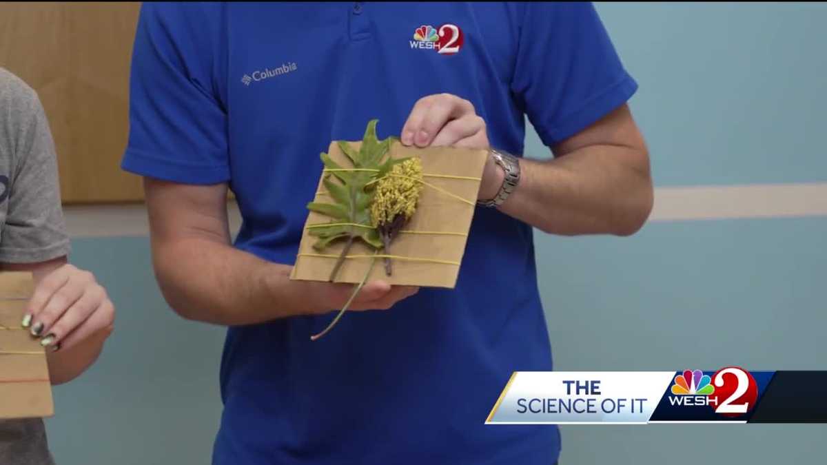 The Science of It: Nature Weaving