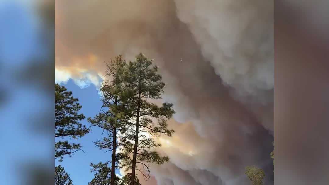 FROM THE GROUND Viewers share footage of Three Rivers Fire