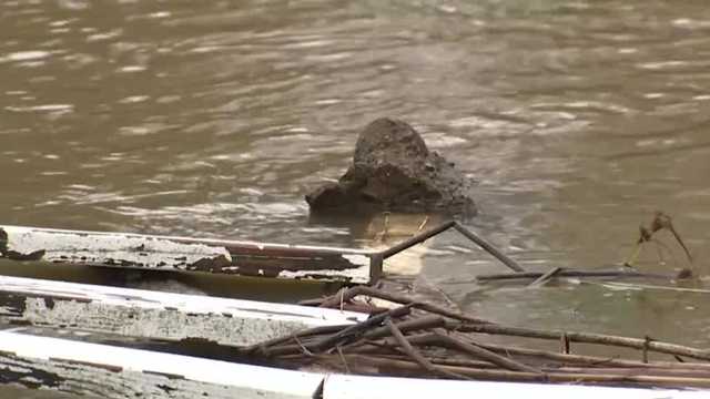 Several Calaveras County homes uninhabitable after flooding - Vimarsana News