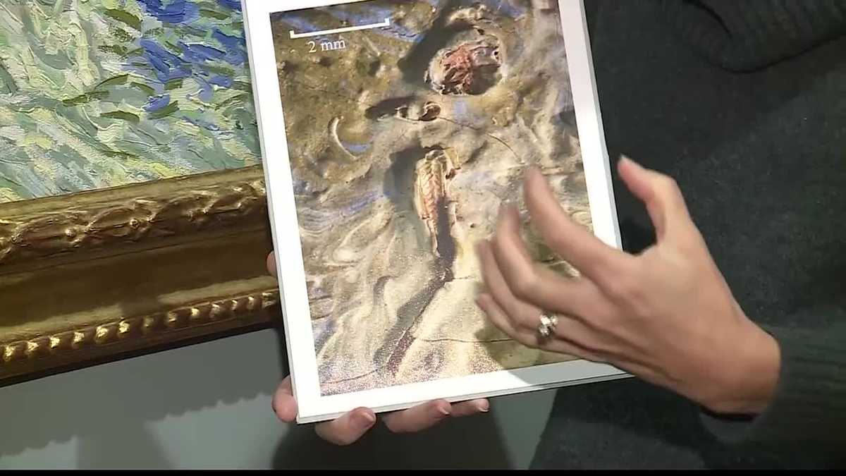 Look close found inside decades old Van Gogh painting at