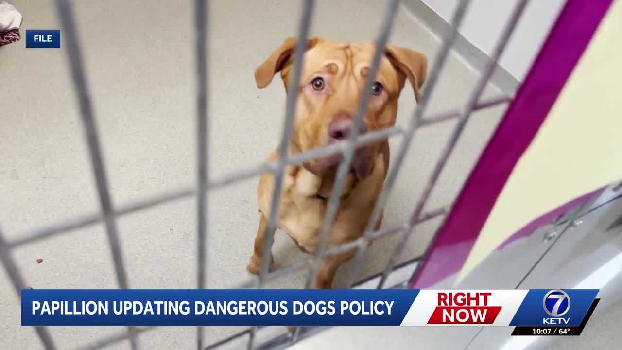 Papillion Municipal Code could see some updates to dangerous dogs policy
