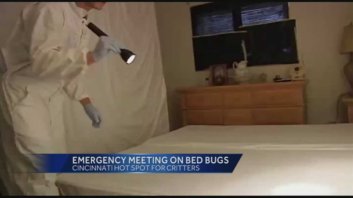 Cincinnati ranks in top 5 U.S. cities for bedbugs