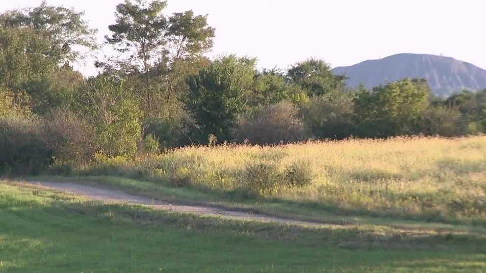 Fayette County power plant project divides community over jobs and environmental concerns