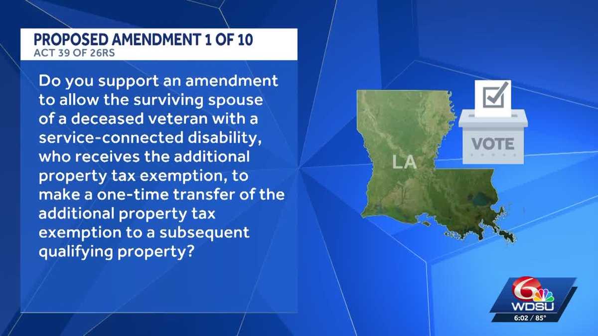 Louisiana constitutional amendments: What you need to know before you vote