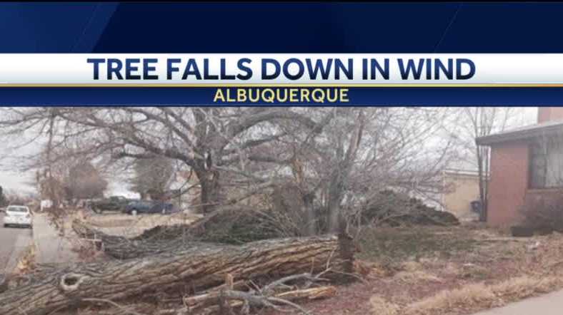 Wind Damage in Albuquerque