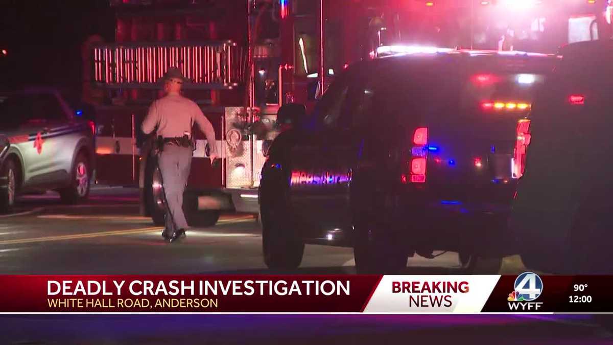 South Carolina: Driver dies when car hits pole