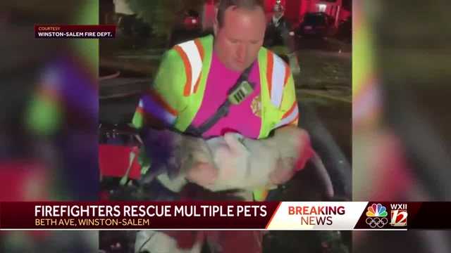 Winston-Salem firefighters save pets from burning home - Vimarsana News