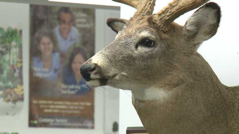 Dnr Looking For Deer With Chronic Wasting Disease