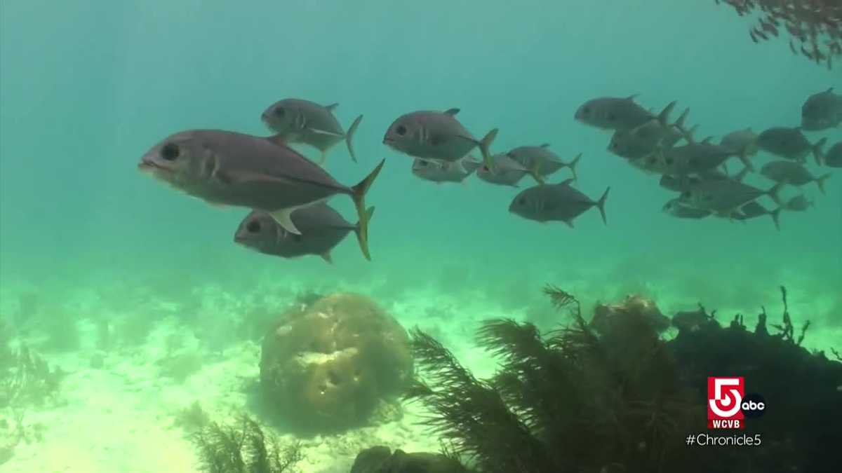 Venture through St. Thomas by land and sea