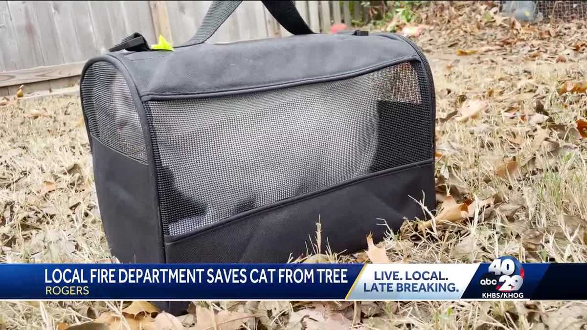 Rogers Fire Department rescues cat stuck in tree for 5 days