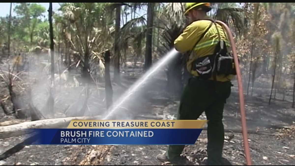 Firefighters stop Palm City brush fire short of horse ranch, hounds