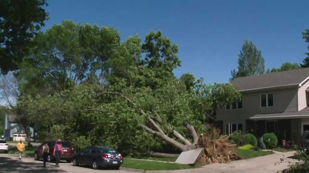 Johnston Tornado: Ef-0 Twister Uproots Trees, Damages Homes