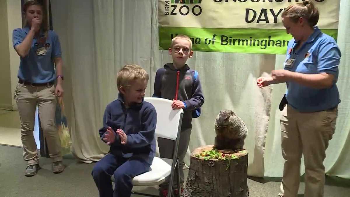 groundhog day birmingham al 2025